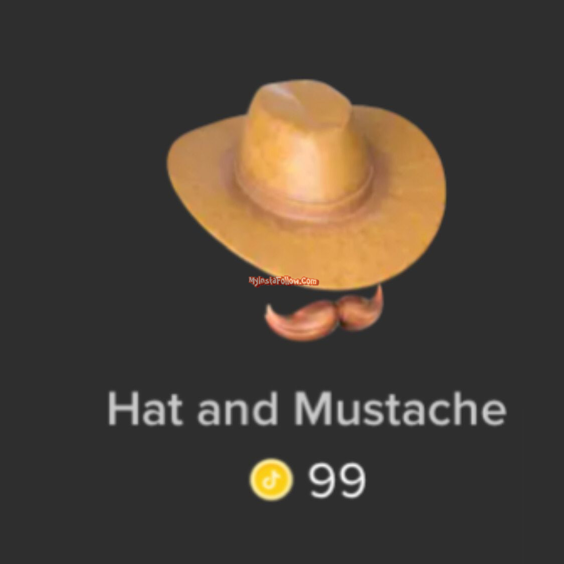 Hat and Mustache Tiktok Gift